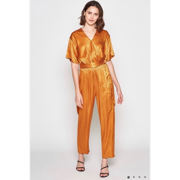 NWT Joie Tau Leopard Jumpsuit in Copper Sz Large - Picture 2 of 12